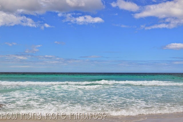 [DSC_33522.jpg]