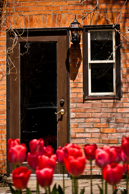 Niagara-on-the-Lake-18.jpg