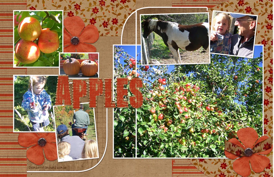 [apples%255B3%255D.jpg]