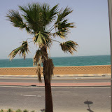 IMG_5058.JPG