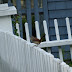 Dsc07358