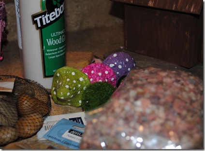 DSC_0006 DSC_0006