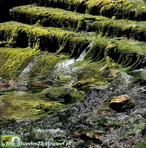 [Rio%2520Ota%2520-%2520Olhos%2520d%2527%25C3%2581gua%2520-14.05.14%2520%25282%2529%255B3%255D.jpg]