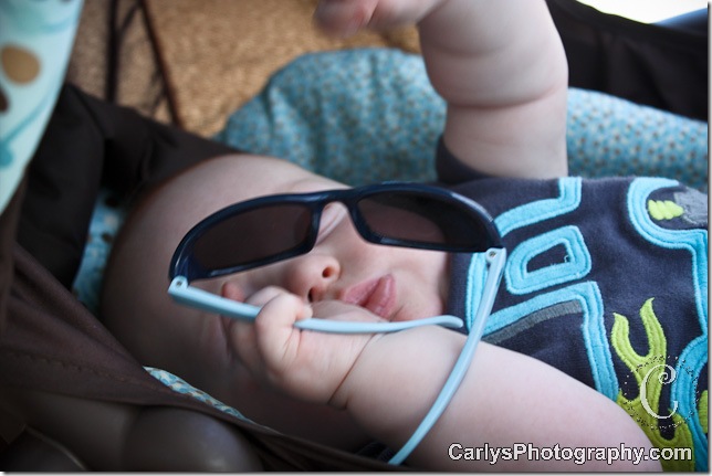 sunglasses (2 of 2)