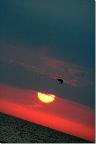 IMG_8717 IMG_8717
