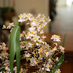 IMG_1265.JPG