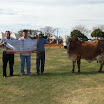 superleite2011_dia1607_36.JPG