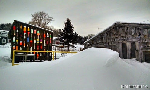 shed and shack at owl's head 2-7-15