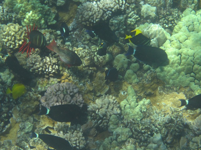 [IMG_3490%255B3%255D.jpg]