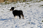 _DSC0009.JPG