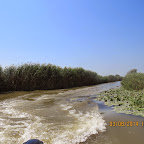 IMG_5737.JPG