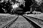 Moorexpress am Teufelsmoor - bei Weyermoor