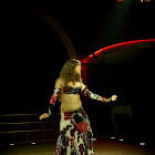 Document Name_3_264.JPG