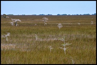 22c - View across the Prarrie