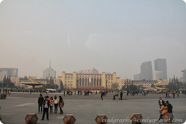 IMG (1043) IMG (1043)