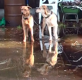 [20141219130929-%25282%2529%255B4%255D.jpg]