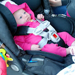 V's First Trip to Maine