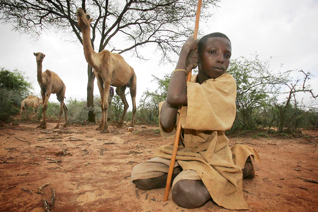 A Sudanese child and camels. blogs.anoiadiari.cat