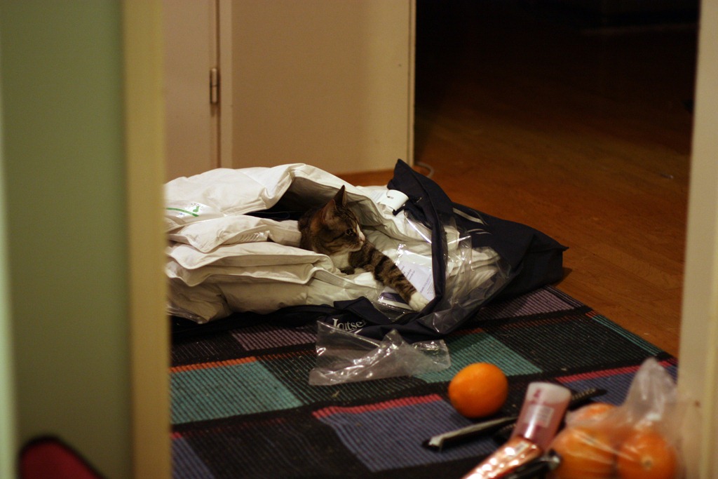 [IMG_2449%255B4%255D.jpg]