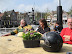 Koemarkt Purmerend