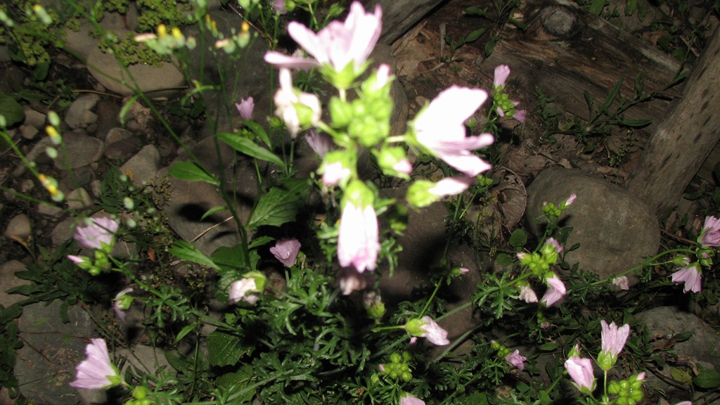 [IMG_67253.jpg]