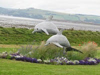 IMG_1146 IMG_1146
