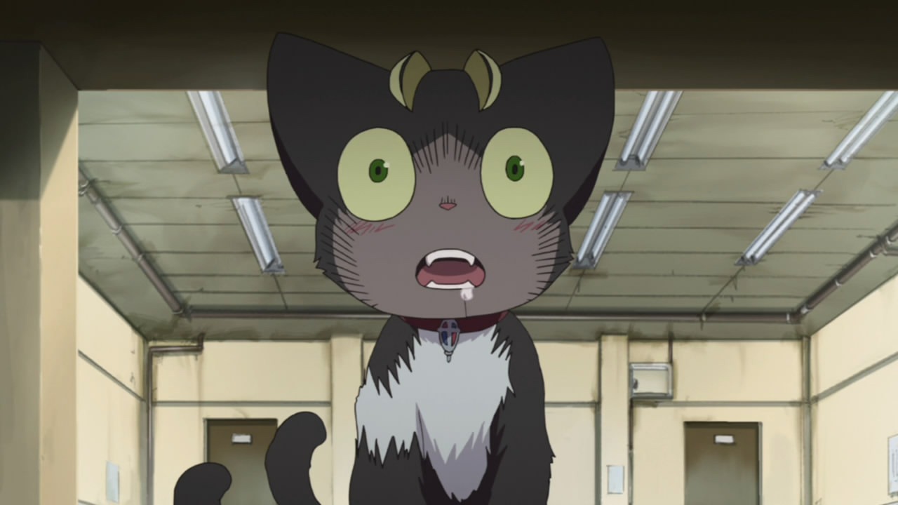 [Ao%2520no%2520Exorcist%2520-%2520OVA%2520-%2520Large%252001%255B2%255D.jpg]