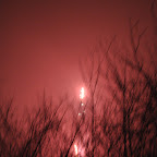 DSC_2468.jpg