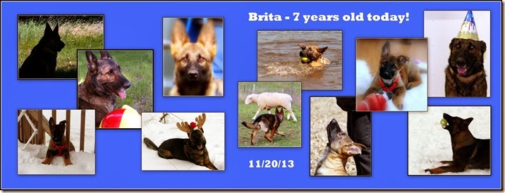 2013.11.20 Brita's 7th birthday.water 2013.11.20 Brita's 7th birthday.water