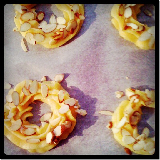 choux2 choux2
