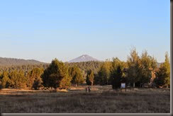 IMG_2684 IMG_2684