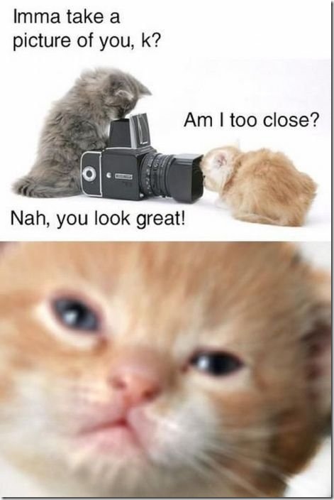 viral-picdump-pics-e77f14