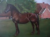 Ezra - 30 x 40 cm - olieverf op paneel (opdracht)