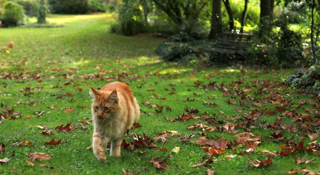 [IMG_7533%255B3%255D.jpg]