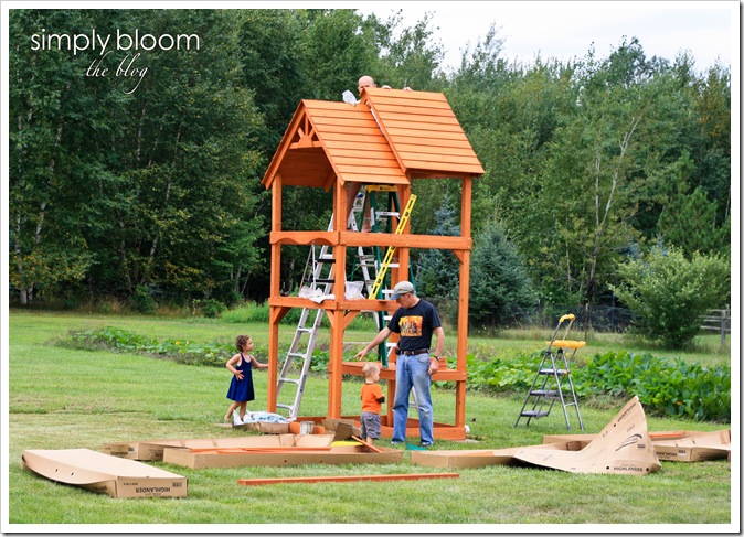 playset (1 of 1)