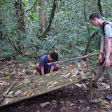 Rigging a trap to smash some chanchos (wild pigs)