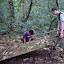 Rigging a trap to smash some chanchos (wild pigs)