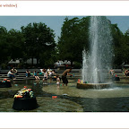 wsp.10.jpg