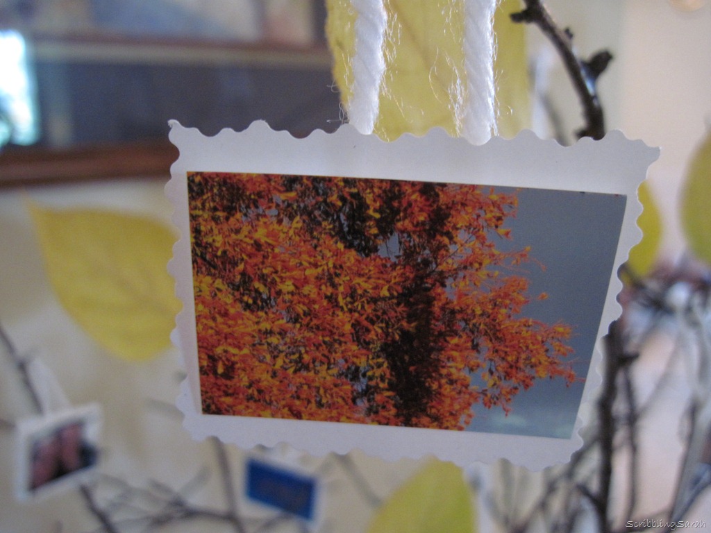 [fall%2520leaves%255B11%255D.jpg]