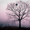 20090213 ProH400_24-Edit.jpg