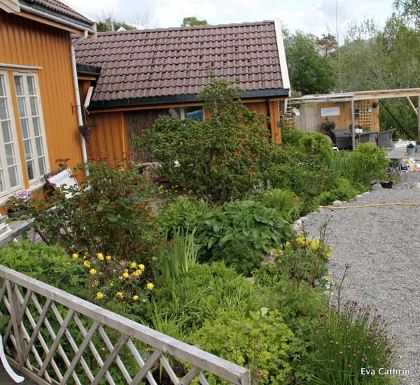 IMG 4656