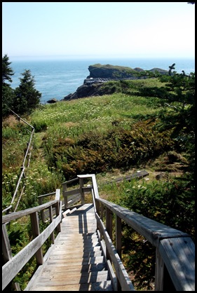 Liberty Point hike Campobello 234