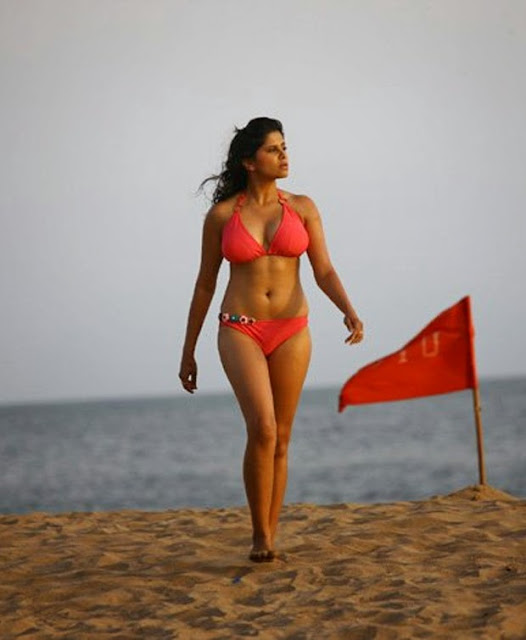 Sai Tamhankar Hot Bikini Daily News