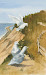consani - bluff%252520seagulls.jpg