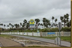 IMG_1861 IMG_1861
