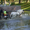 DSCN4884.JPG