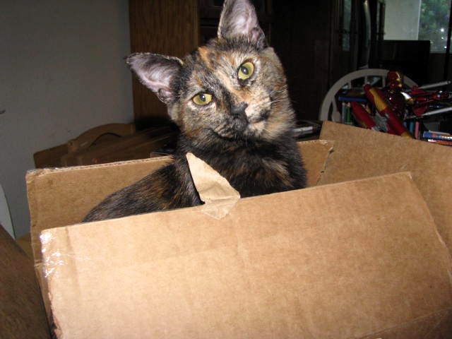 [IMG_0013%255B2%255D.jpg]
