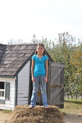 DSC_1182 DSC_1182