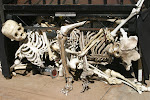IMG_8059.JPG