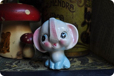 243 elefante
